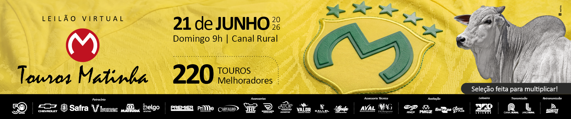 Leilão Touros Matinha