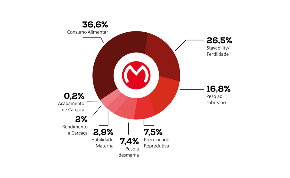 Composição do Índice Real Matinha (IR$M)