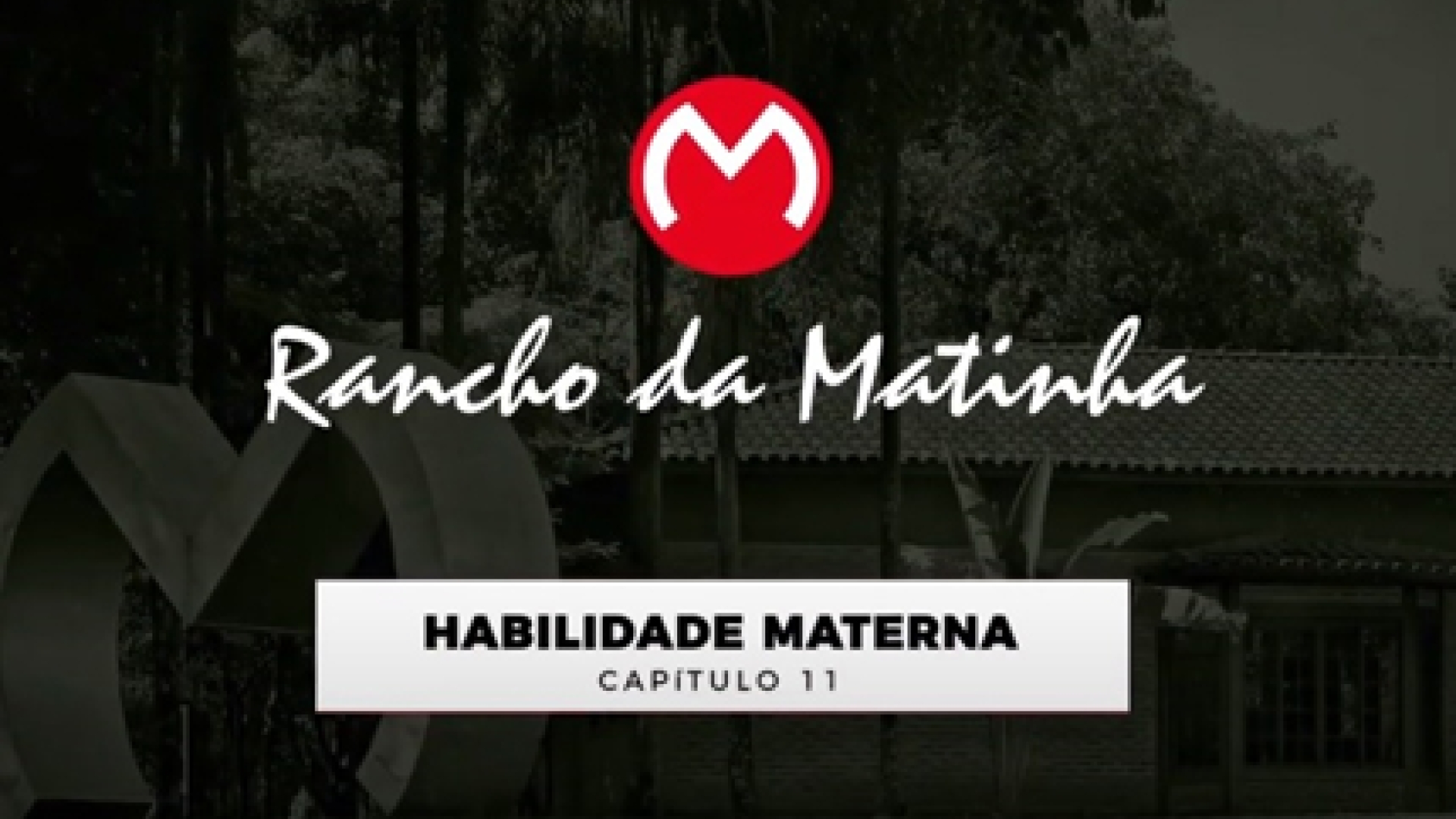 Capítulo 11 - Habilidade Materna