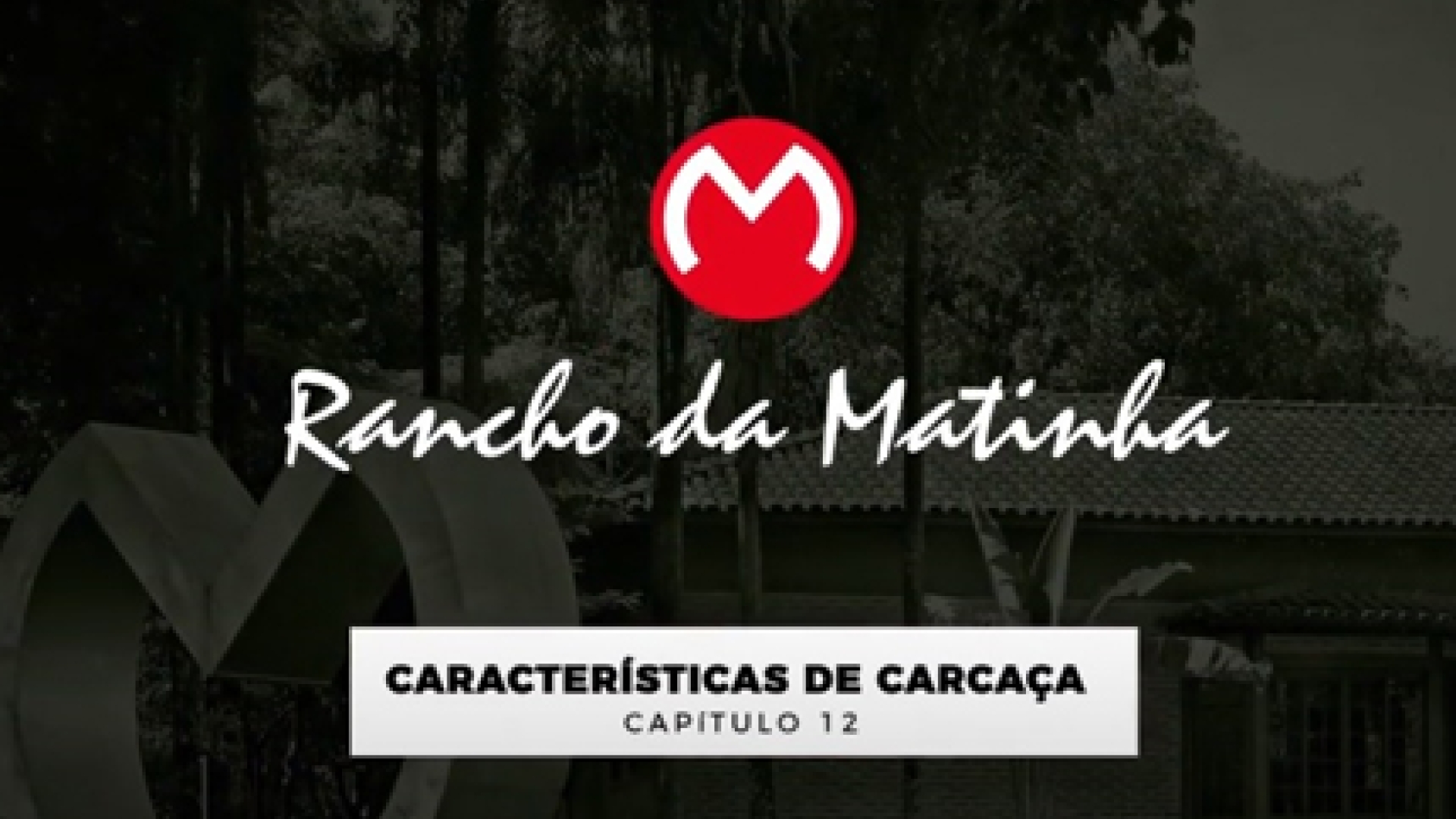 Capítulo 12 - Características de Carcaça