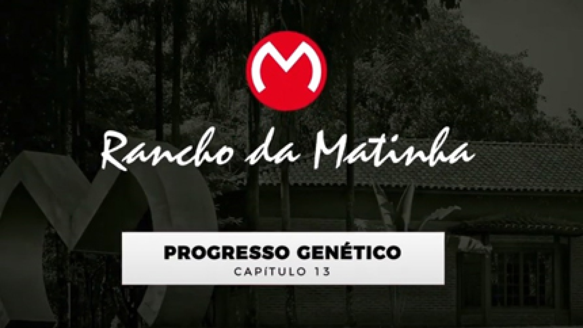 Capítulo 13 - Progresso Genético